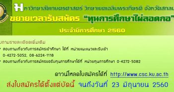 %e0%b8%97%e0%b8%b8%e0%b8%99%e0%b9%84%e0%b8%9c%e0%b9%88%e0%b8%a5%e0%b8%ad%e0%b8%94%e0%b8%81%e0%b8%ad